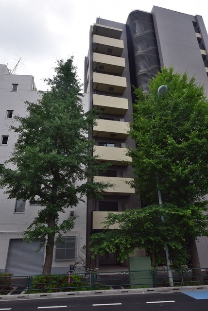 エルスタンザ文京白山の物件内観写真