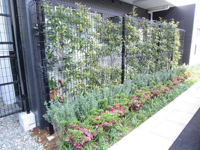 ステージグランデ錦糸町の物件内観写真