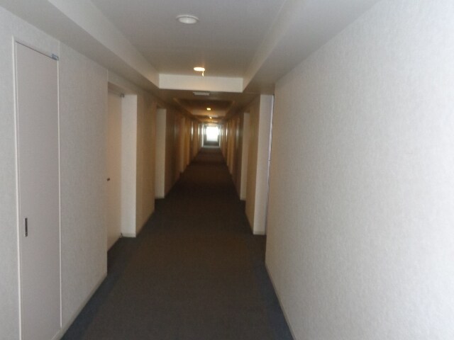 ｗｉｌｌＤｏ　清澄の物件内観写真