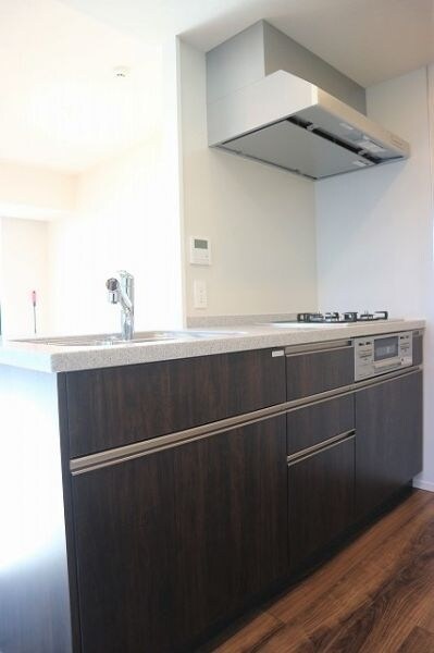 プレミストタワー白金高輪の物件内観写真