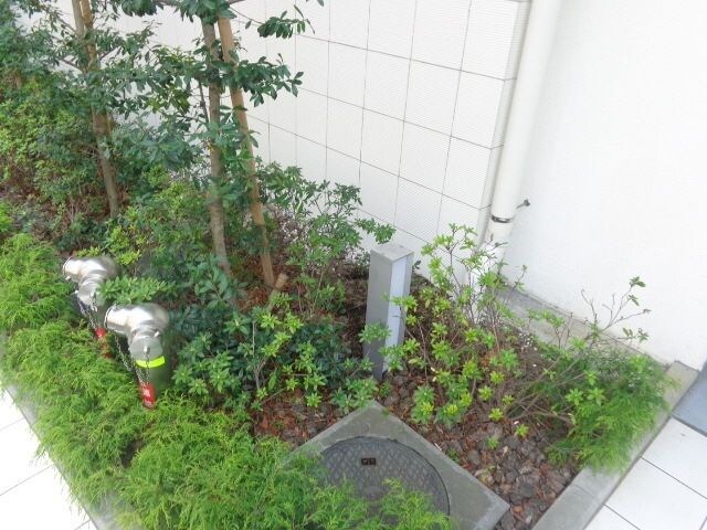 パークアクシス亀戸の物件内観写真