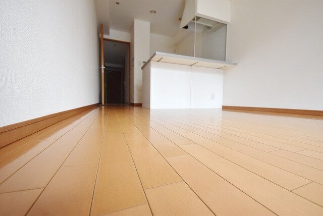 カスタリア銀座IIIの物件内観写真