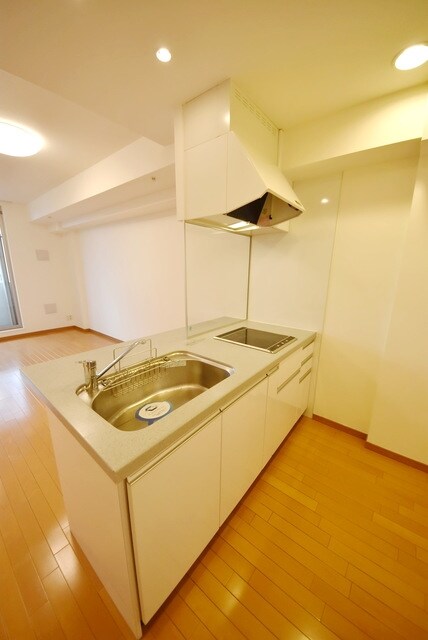 カスタリア銀座IIIの物件内観写真