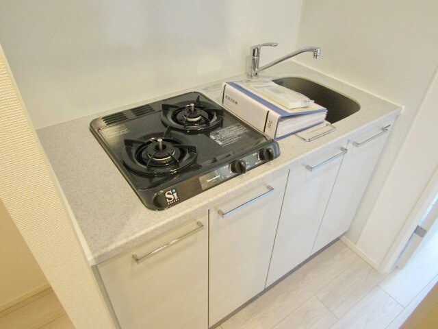 レビスタ白金高輪の物件内観写真