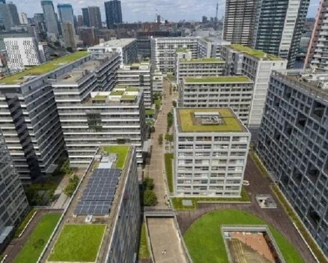 東雲キャナルコートＣＯＤＡＮ１７号棟の物件外観写真