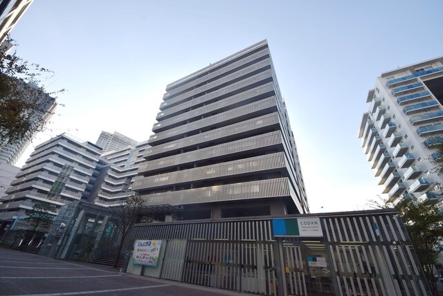 東雲キャナルコートＣＯＤＡＮ１７号棟の物件内観写真