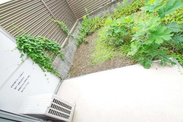 エスティメゾン登戸の物件内観写真