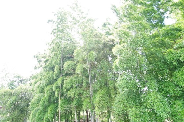 パレットワン百合ヶ丘の物件内観写真