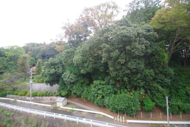 ドミトリー白根の物件内観写真