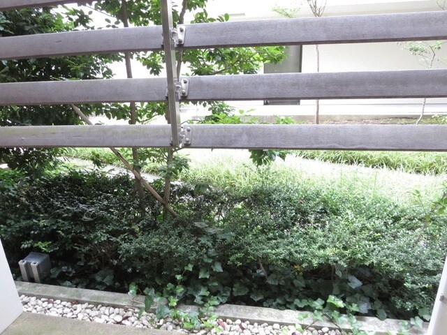 コート向ヶ丘　の物件内観写真