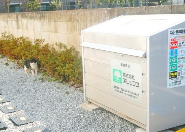 グラーレ下井草の物件内観写真