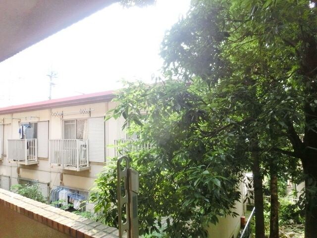 フェニックス吉祥寺アヴァンティークの物件内観写真