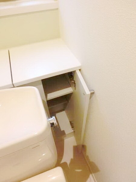 メイプルアベニュー吉祥寺の物件内観写真