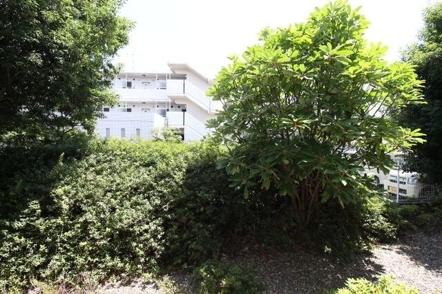 サンハイム久保田　の物件内観写真