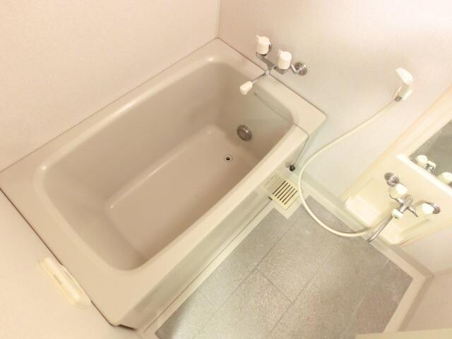 パインエクセレントの物件内観写真