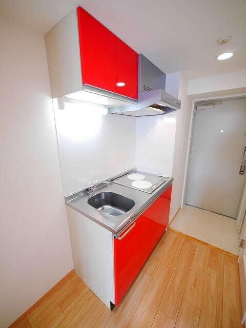 Ｄｏｒｍｏｕｓｅ　Ｆｉｎｅの物件内観写真