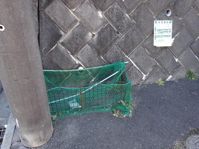 ハイツサクマの物件内観写真