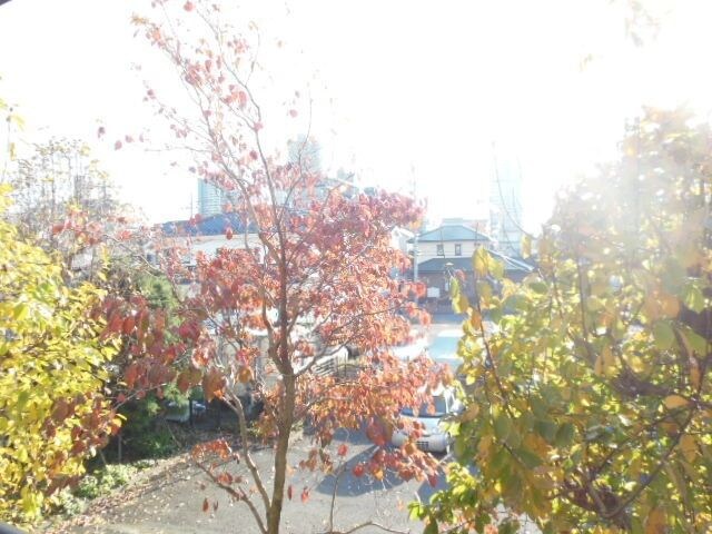 フォレストマンションの物件内観写真