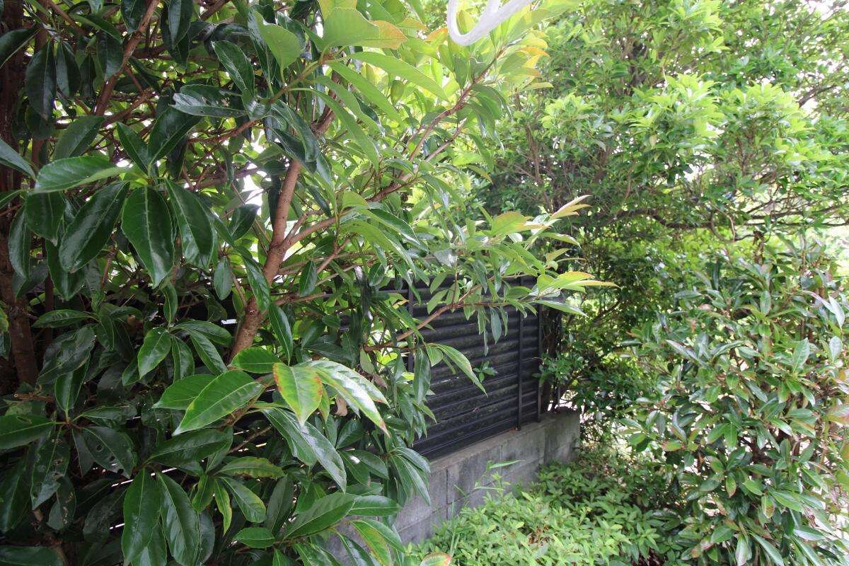 レオパレスピュアブリーズの物件内観写真