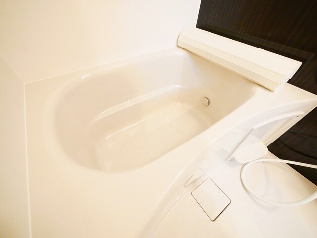 Evergreen Residenceの物件内観写真