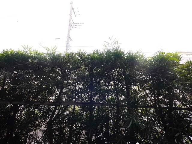 カスタリア鶴見の物件内観写真