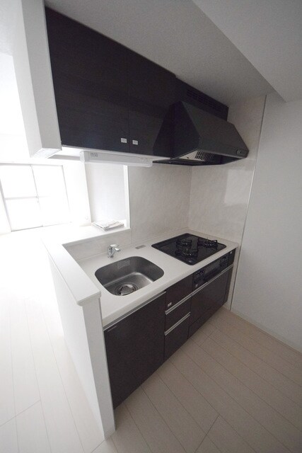 スカイガーデン錦糸町の物件内観写真