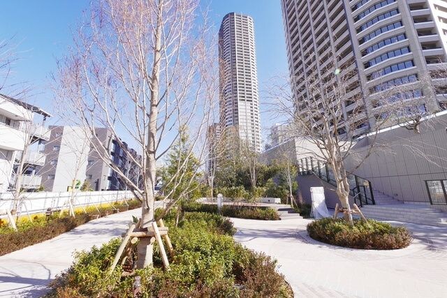 パークシティ武蔵小杉　ザ　ガーデンタワーズウエストの物件内観写真