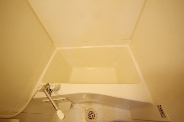 グリフィン新横浜・アリーナ前の物件内観写真