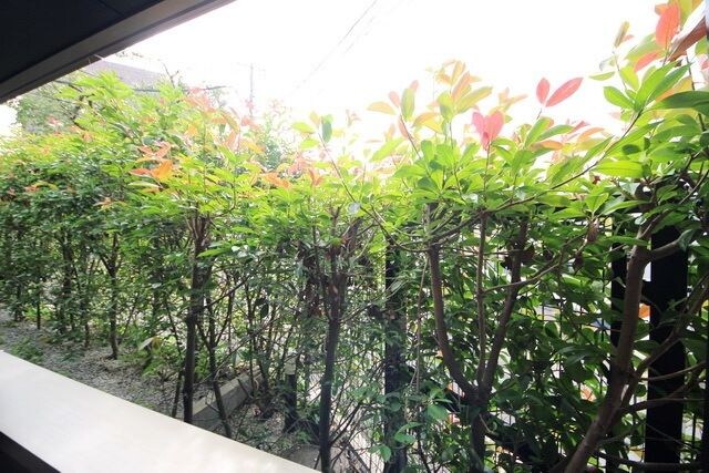 エフパークレジデンス妙蓮寺の物件内観写真