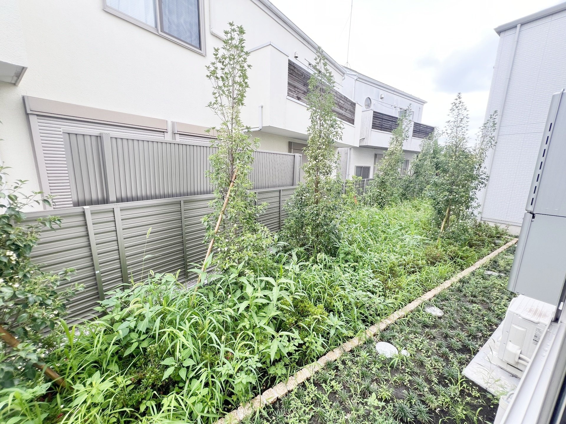 グラナーデ高井戸東の物件内観写真