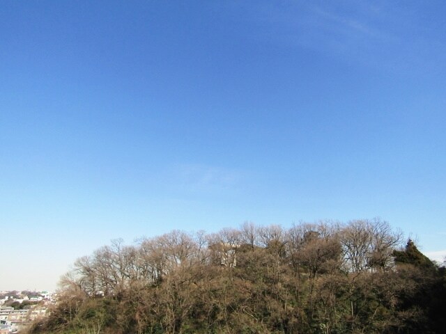 グランジュテ黄金町の物件内観写真