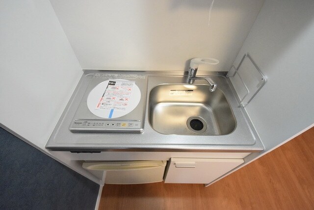 Miisa HOSHIKAWAの物件内観写真