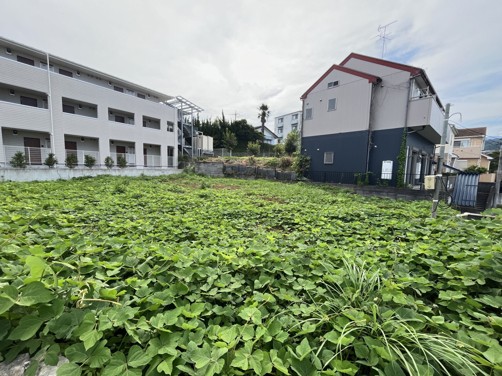 アザーレ・アサンテ東海大学前の物件外観写真