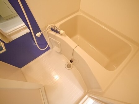 Ｄｏｒｍｏｕｓｅ　Ｆｉｎｅの物件内観写真