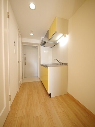 Ｄｏｒｍｏｕｓｅ　Ｆｉｎｅの物件内観写真