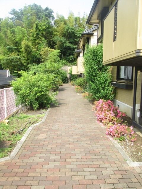 セレーノ坂下Ａ棟の物件内観写真