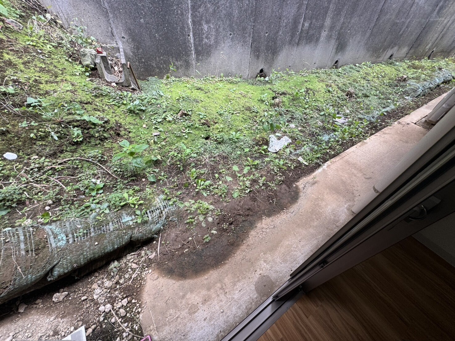 プレシード上倉田の物件内観写真