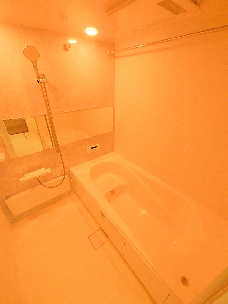 Ｄ－ＲＯＯＭ荒井1丁目の物件内観写真