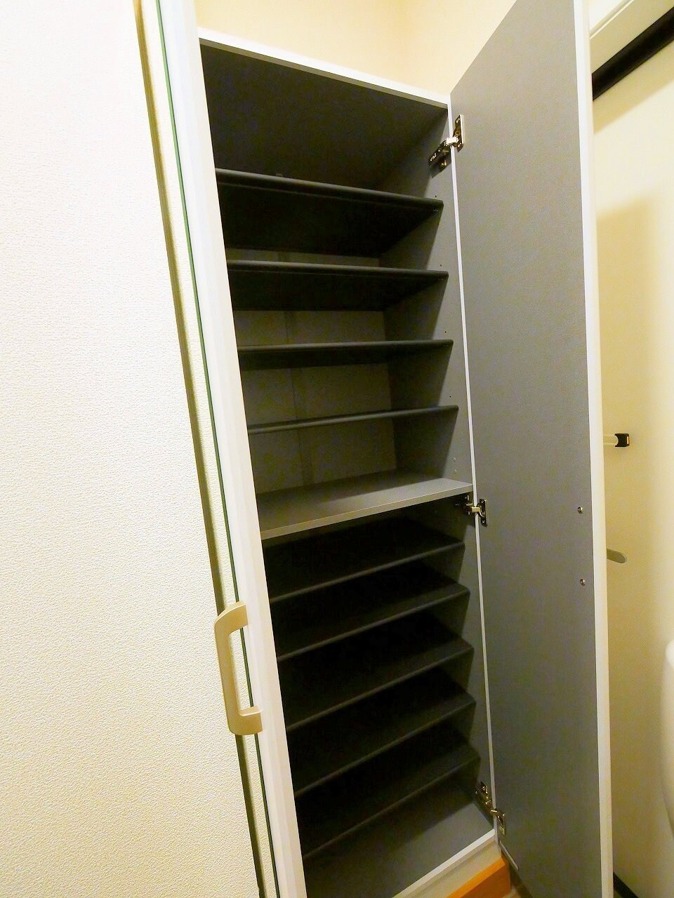 メゾン・ド・ハシヌマCの物件内観写真