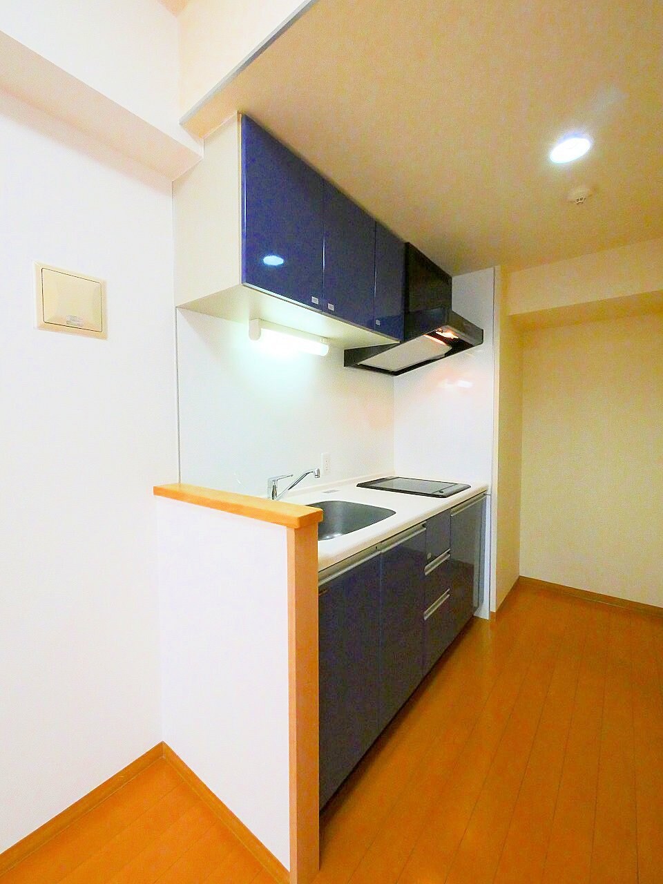 ヒューマンハイム平成の物件内観写真