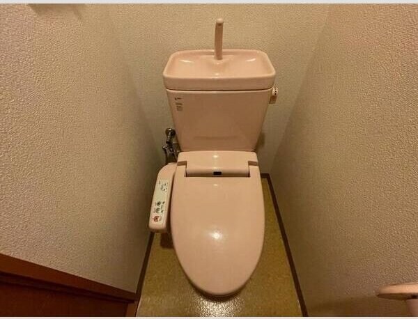 ラフィネ小鶴新田の物件内観写真