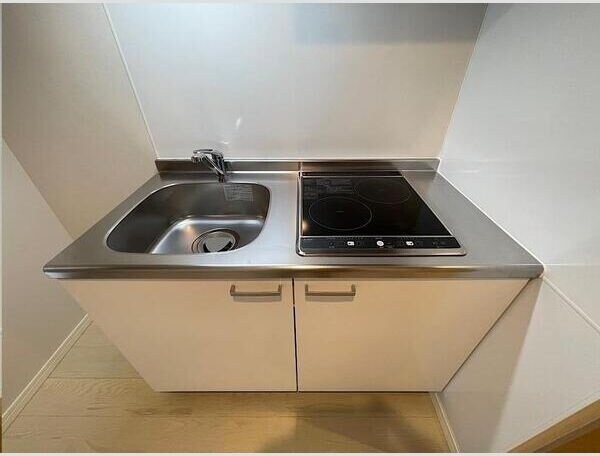 プラチナスイート西公園駅South　Gardenの物件内観写真