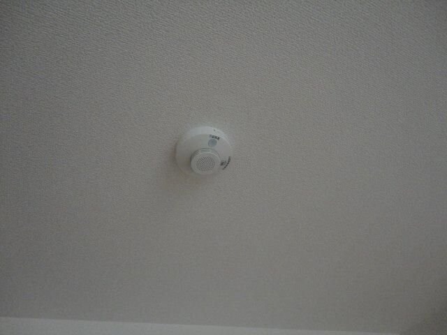 パレス・ビーバレーの物件内観写真