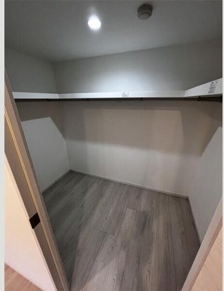 LUANA・AIR・RESIDENCE五橋の物件内観写真