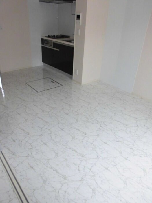 グラン・ブルーエスターテ矢中の物件内観写真