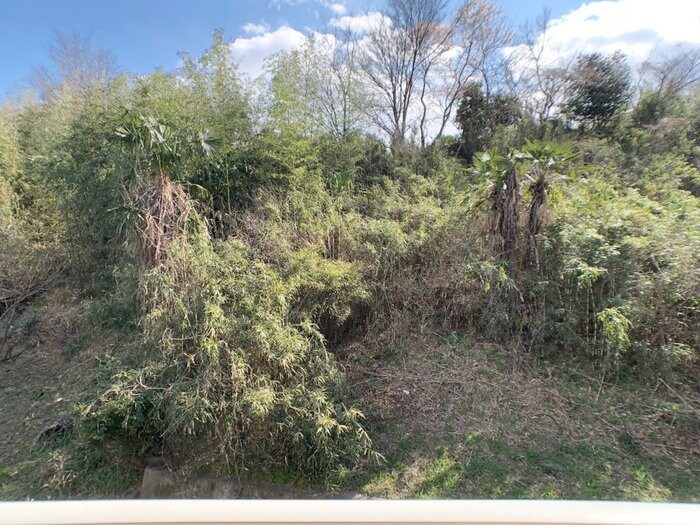 ヴィラ・ウィロー　IIの物件内観写真