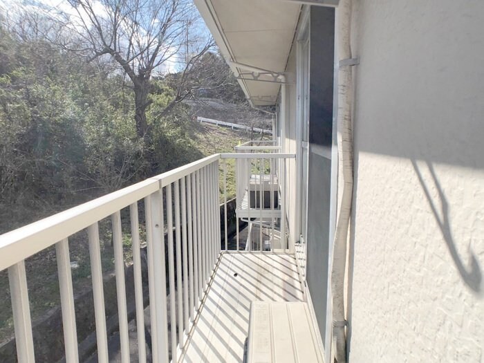 ヴィラ・ウィロー　IIの物件内観写真