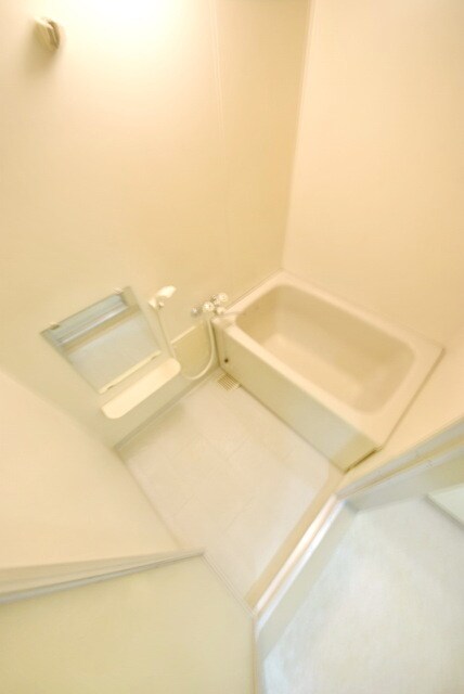 ニューマリッチ吉沢Ａの物件内観写真