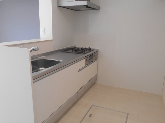 ロイジェントパークスレイクタウンII　Aの物件内観写真