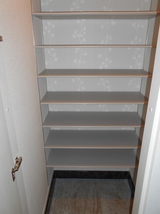 ロイジェントパークスレイクタウンII　Aの物件内観写真